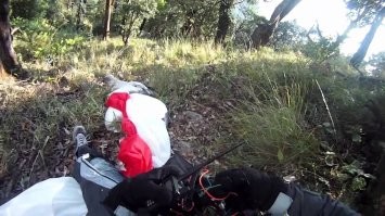 Главное, что бы не было потом "Жив, цел, пеликан!"