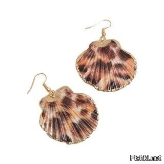 Там, если у норвежских учёных будут ещё вопросы, пусть обращаются.