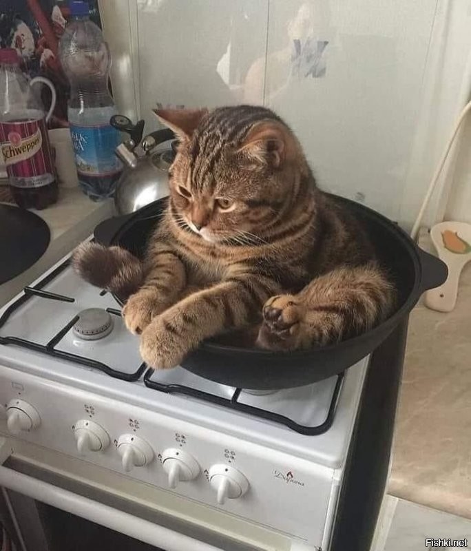 Доброе утро