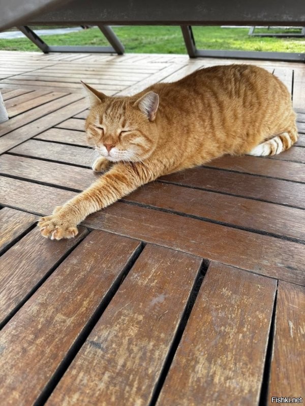 Солянка от 17.11.2025