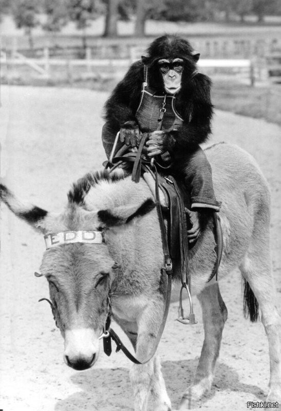 У них так принято)