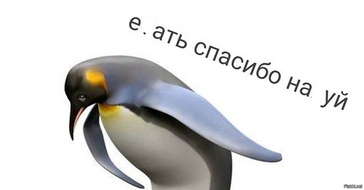 Госдума во втором чтении приняла закон о повышении НДС до 22%