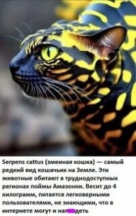 20 примеров нестандартных и аномальных красок природы