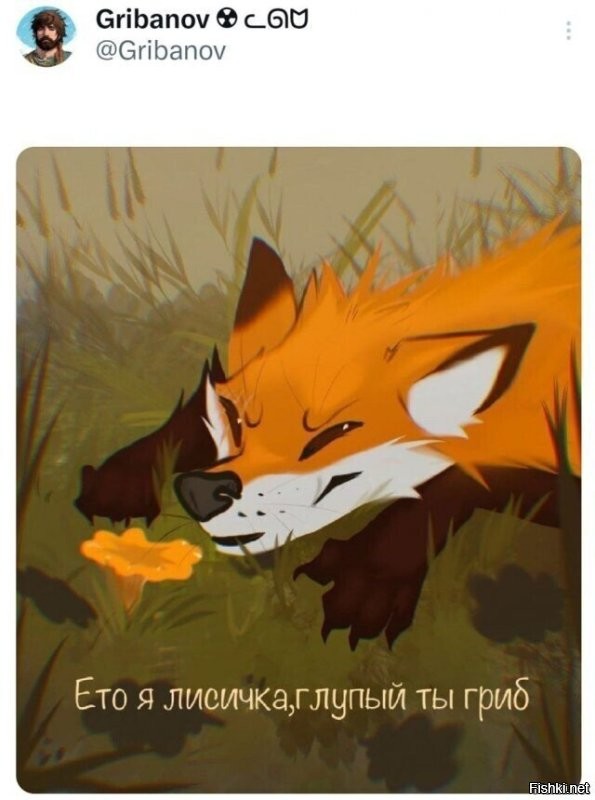 Лисы гораздо удивительнее, чем кажется — вот 31 доказательство