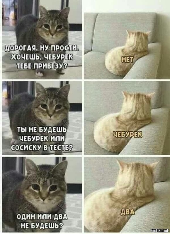 Солянка от 18.11.2025