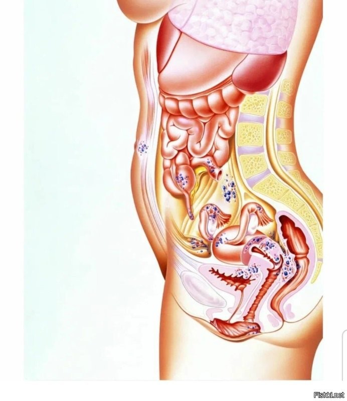 Ситуация в спортзале!