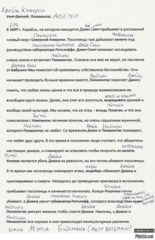 Пеликан присоединился к парапланеристу во время полёта