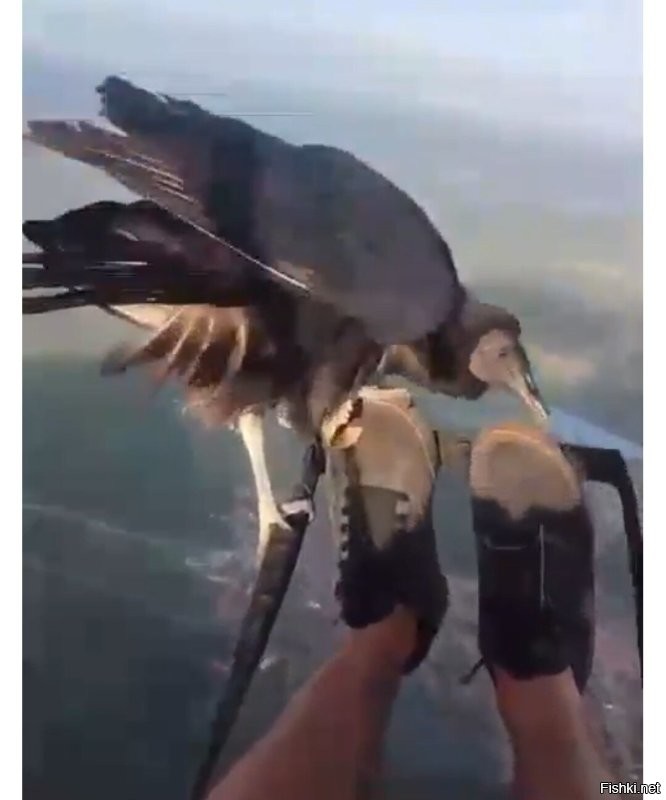 У вас водички не будет? 
А то так есть хочется, что переночевать негде.