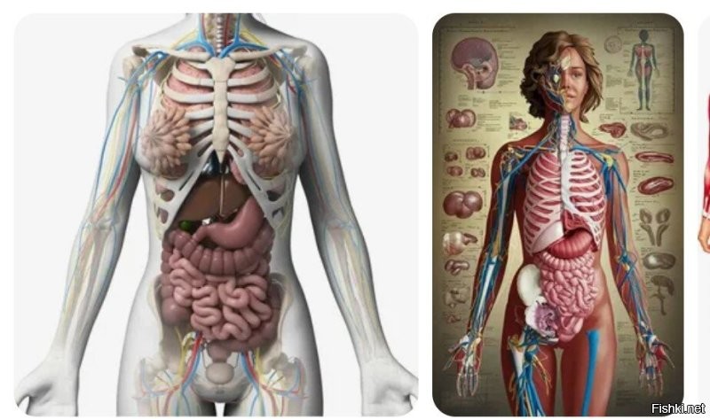 Ситуация в спортзале!