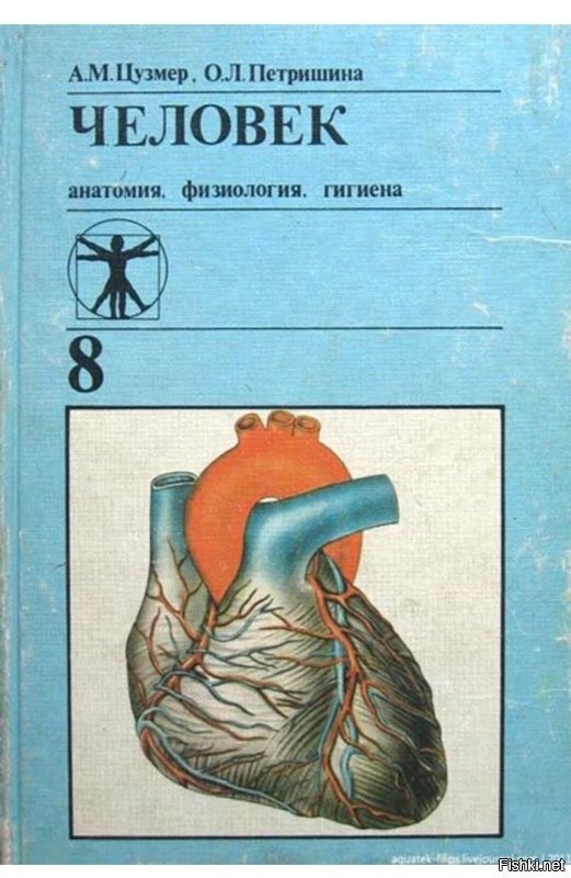 А что, сейчас "анатомии" в школе нет?