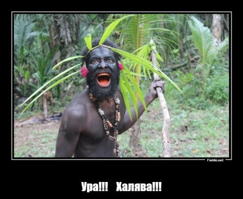 Грузовое судно село на мель, и местные бросились «спасать» товар