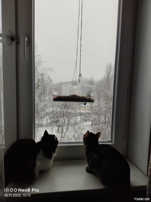 Солянка от 19.11.2025