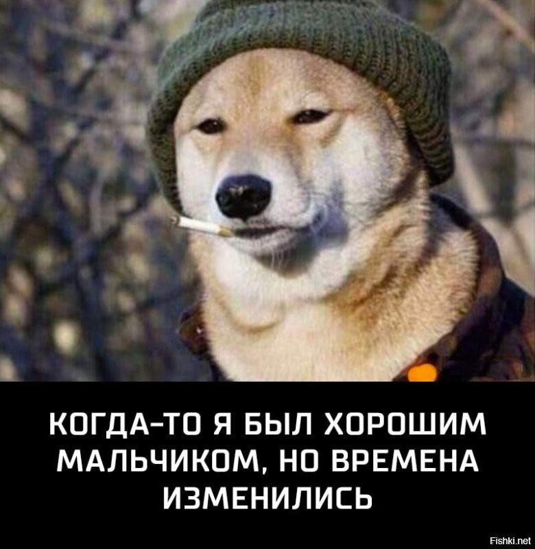 Солянка от 18.11.2025