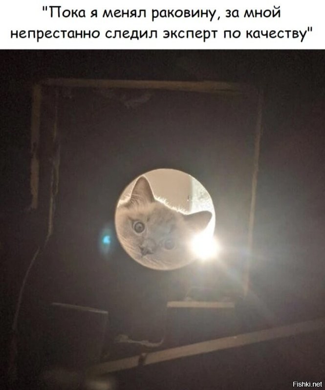 Доброе утро