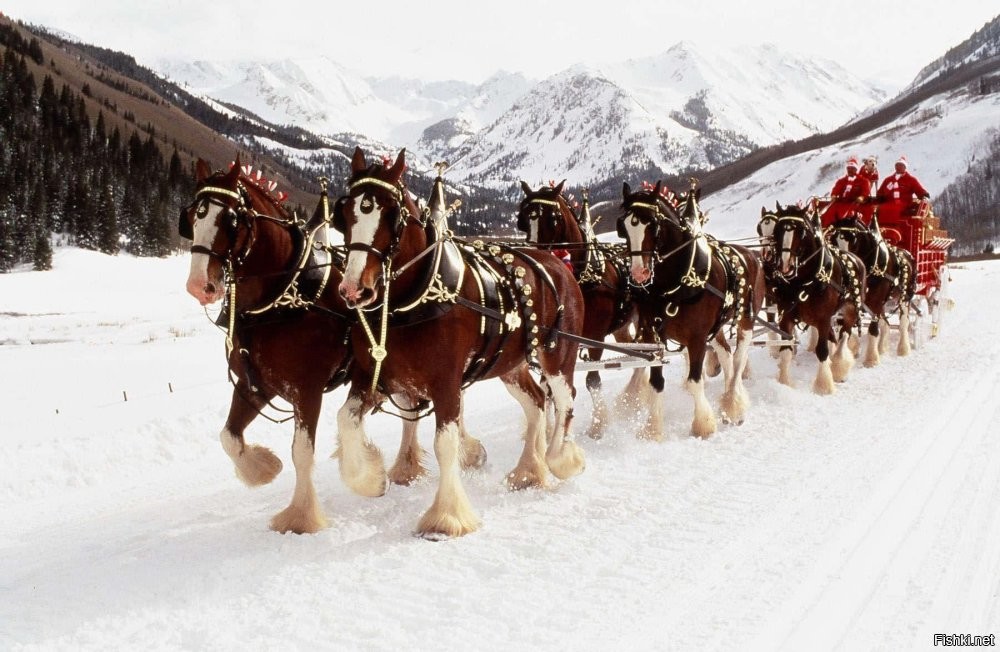 90 не нашёл, это максимум