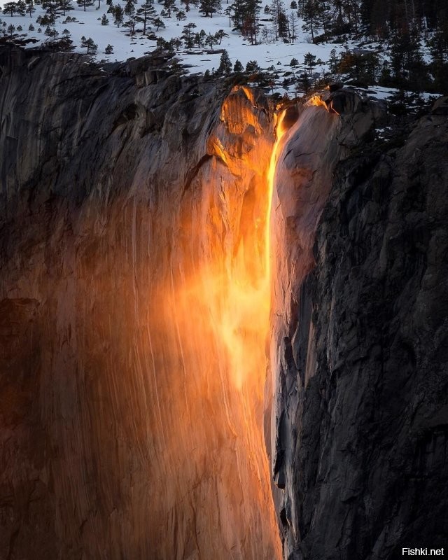 Йосемитский.