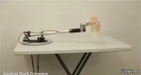 Не с пивом, конечно, но тоже бутылка. ))