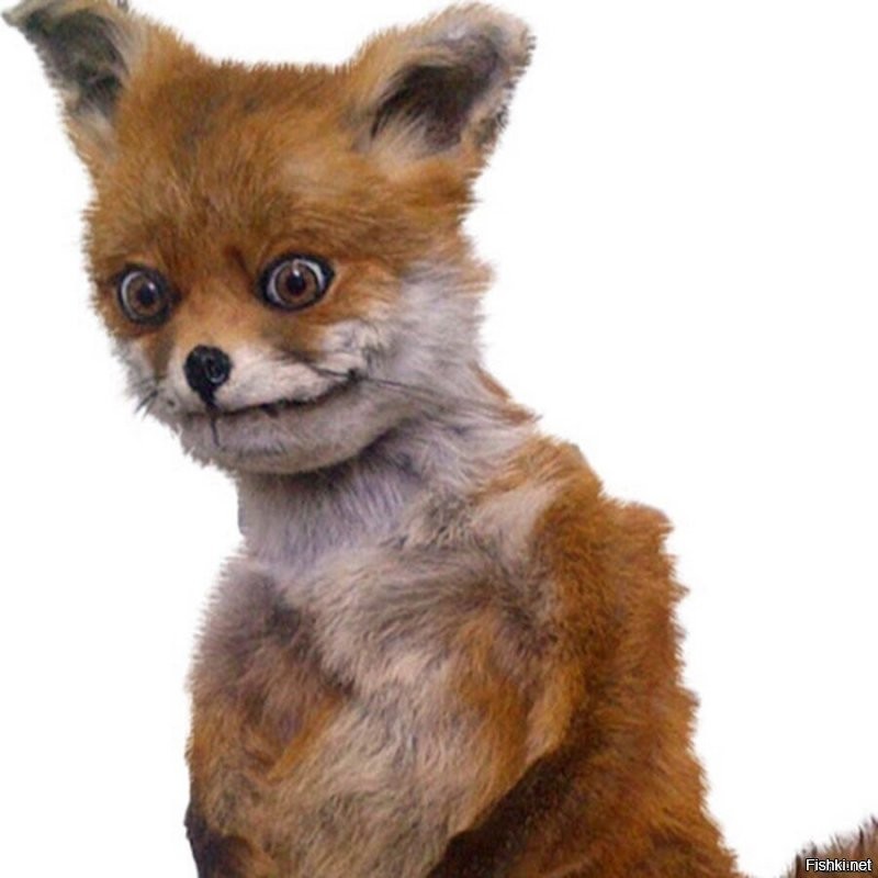 А как у вас обстоят дела с доходами?...........