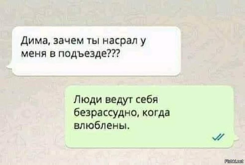 В Москве отвергнутый парень измазал подъезд фекалиями ради «любви» к Варе