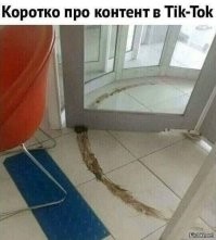 Друзья «наставили рога» приятелю, пока он спал