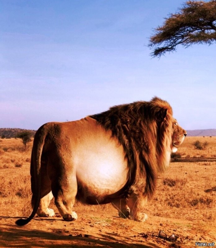 23 нелепые ошибки на вывесках, которые невозможно не заметить