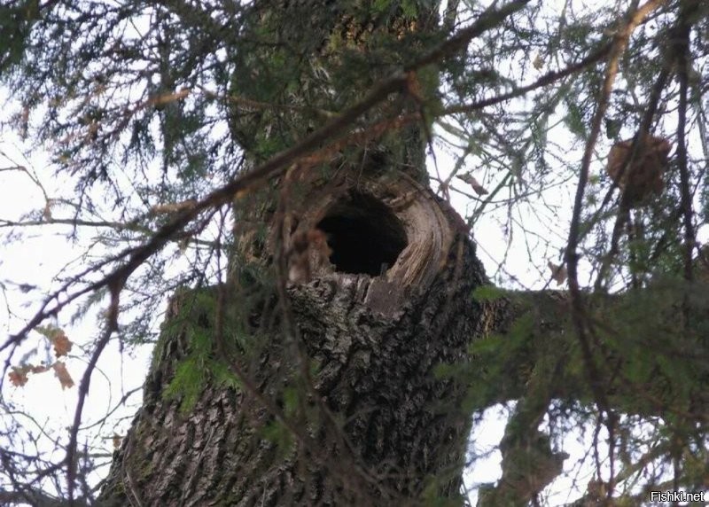 Почему нет?