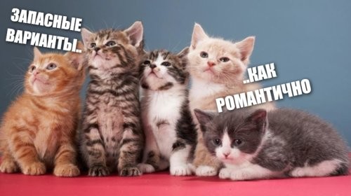 Солянка от 19.11.2025