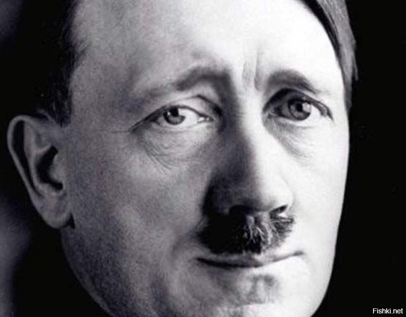 Миграционная политика Германии постепенно превращает её в страну «третьего мира»