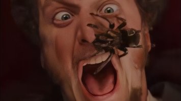 Мужчина в панике из-за паука