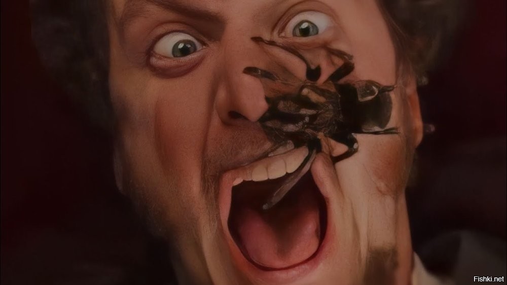 Мужчина в панике из-за паука