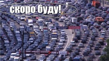 Стадо оленей перекрыло дорогу на Камчатке