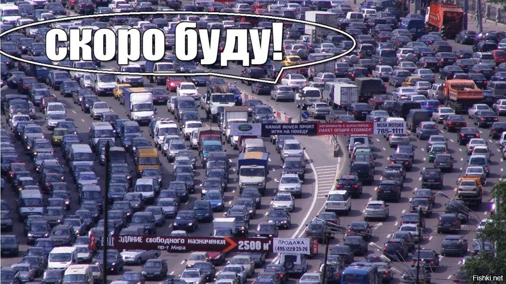Стадо оленей перекрыло дорогу на Камчатке