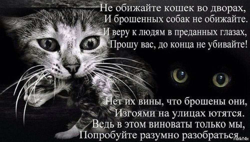 Парень пожалел, что решил обидеть собаку