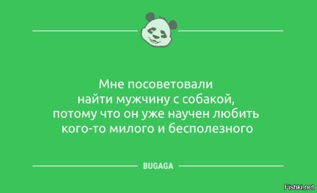 Солянка от 20.11.2025