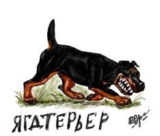 Какие породы собак победят волка или медведя?