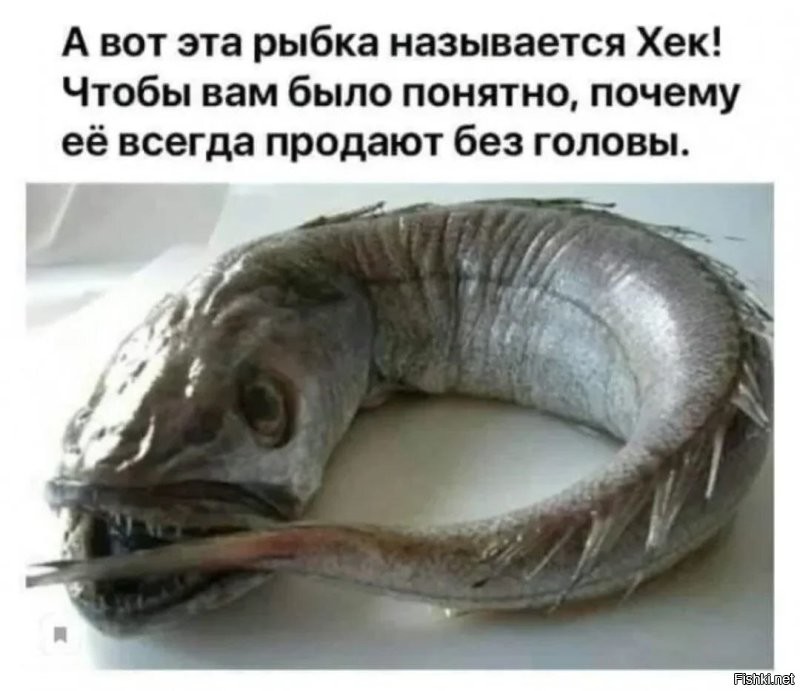 Счастье простое: девушка радовалась сёмге больше, чем подаркам