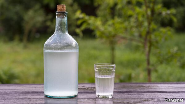 Солянка от 20.11.2025