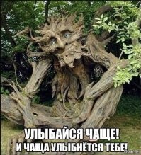 Приколы, обыгрывающие известные русские выражения в буквально смысле