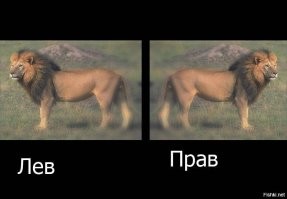 Приколы, обыгрывающие известные русские выражения в буквально смысле