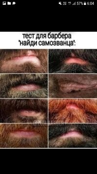Пушистый самозванец