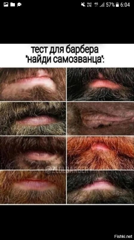 Пушистый самозванец