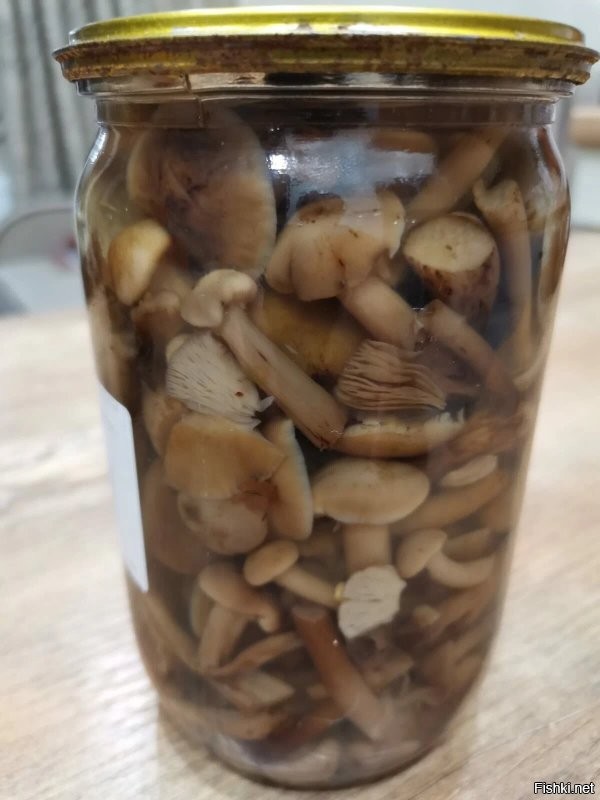 Эттаж опята!)))