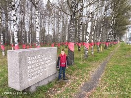 Сыну 9 лет. Небольшая прогулка по Пискаревскому мемориальному кладбищу и поездка по "Дороге жизни" с рассказом о блокаде Ленинграда его сильно впечатлили. Я уверен что сыну не придет в голову осквернить вечный огонь где-либо.