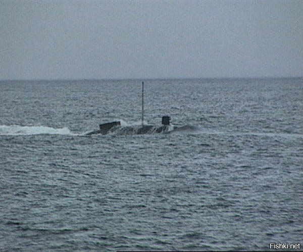 Солянка от 20.11.2025