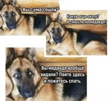 Какие породы собак победят волка или медведя?