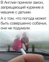 Мне эти инсинуации с запретами напомнили баянистую забавную картинку: