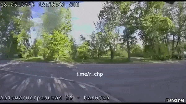 Чёт я на ней завис. Смотрел бы и смотрел. Казалось бы, нужно посочувствовать. Но не тот случай.)