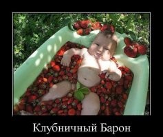 Полкило позитива