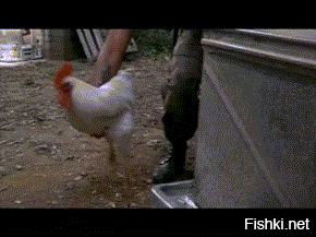 Скоростная стрельба из лука