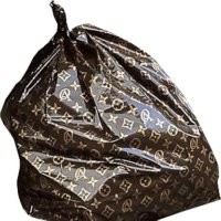 ️Вице-мэр Воронежа отчитала горожан и назвала их токсичными - в отместку ей задали вопросы про очень дорогую сумку